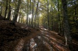 Pollino National Park Calabria South Italy