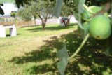 Agriturismo Orsomarso Calabria South Italy La Casa Nella Prateria